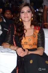 Pantham Audio Release Function